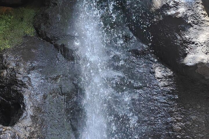 Forest Bathing at Capoxi Dam: Guided Shinrin-Yoku Near Mexico City photo 5