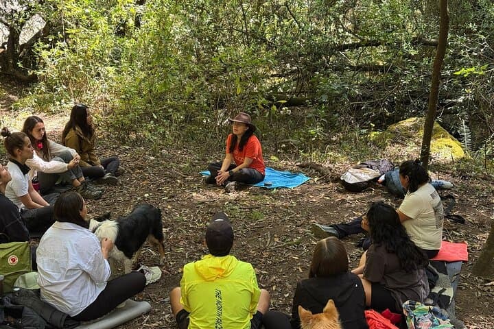 Forest Bathing at Capoxi Dam: Guided Shinrin-Yoku Near Mexico City photo 6