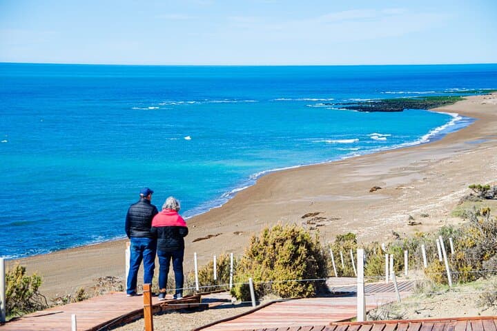 Península Valdés Full-Day Wildlife Tour from Puerto Madryn