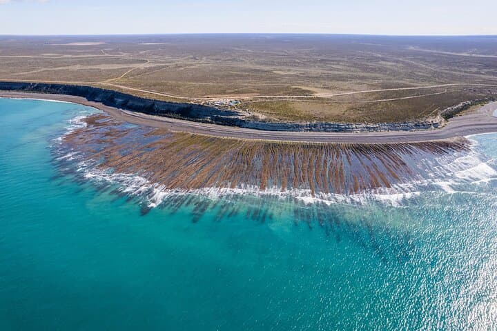 Península Valdés Full-Day Wildlife Tour from Puerto Madryn photo 5