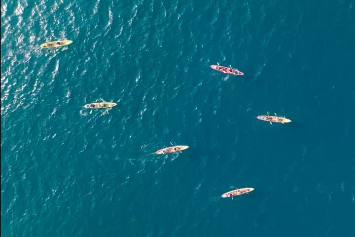 Explore Point Reyes by Sea Kayak: Tomales Bay Wildlife & Hog Island Paddle