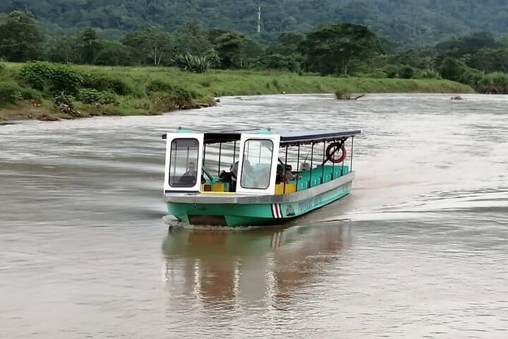 Puntarenas Rainforest River Cruise and Zipline: Mangrove Safari & Canopy Thrills