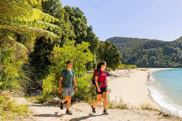 3-Day Abel Tasman Guided Walk — Beachfront Lodges, Coastal Tracks & Boat Transfers photo 5