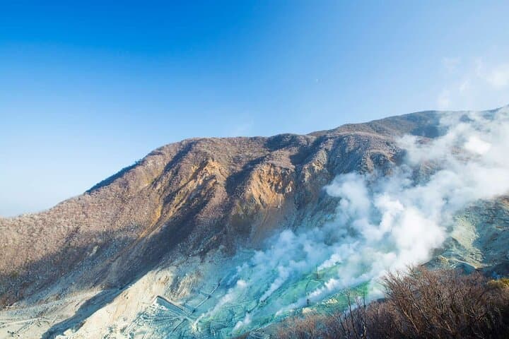 Hakone Private Customized Day Tour — Tailored Lake Ashi, Owakudani & Open-Air Museum photo 4
