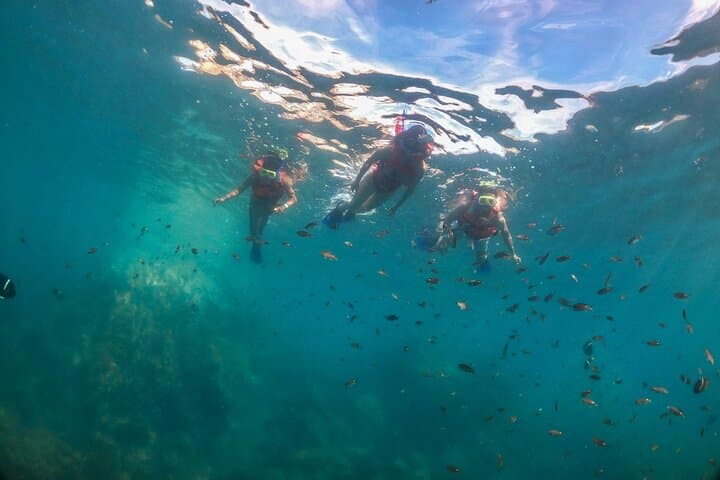 Marietas Islands Snorkel and Majahuitas BBQ — Puerto Vallarta Day Tour photo 2
