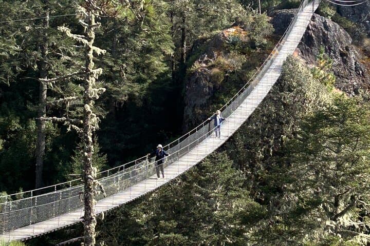Sierra Norte of Oaxaca Day Hikes: Cuajimoloyas Pine-Oak Trails & Pueblos Mancomunados