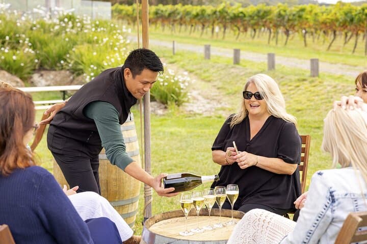 Unveiling Melbourne's Scenic Treasures: A Day with Puffing Billy, Wildlife, and Yarra Valley Wines photo 5