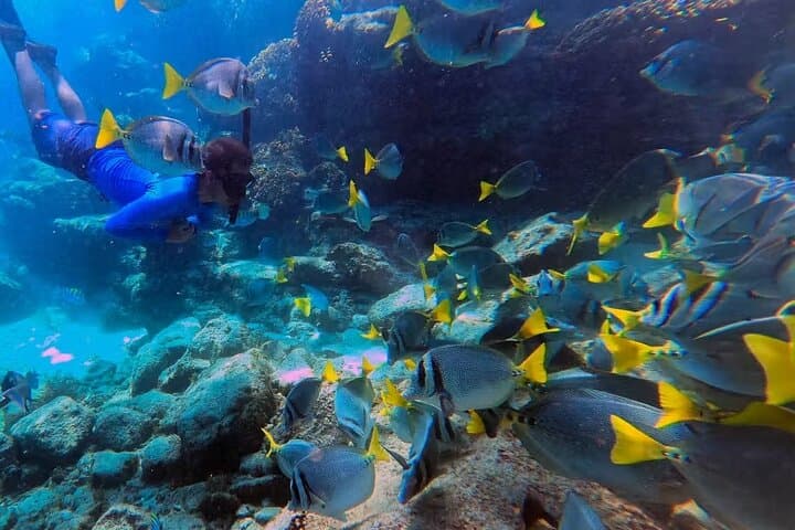 Marietas Islands Snorkel and Majahuitas BBQ — Puerto Vallarta Day Tour photo 6
