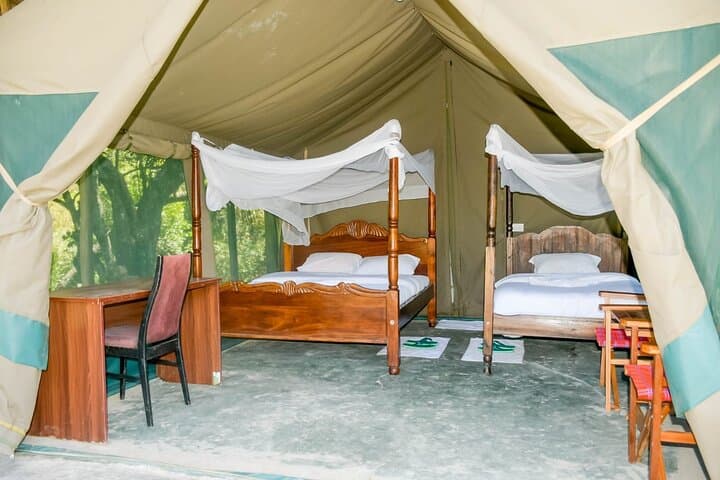 4-Day Masai Mara Guided Safari: Big Five, Mara River & Migration Highlights photo 2