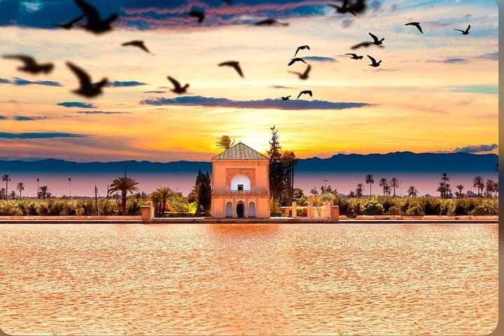 Private Marrakech Highlights Tour — 4-Hour Multilingual Driver Experience