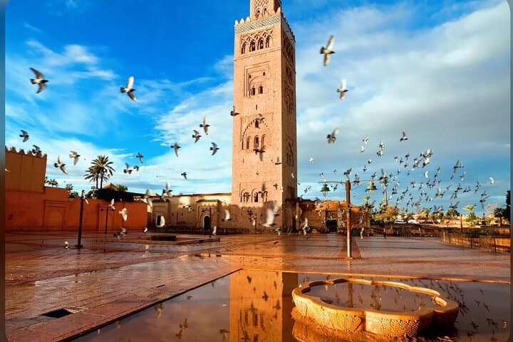 Private Marrakech Highlights Tour — 4-Hour Multilingual Driver Experience photo 2