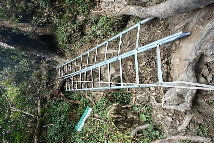 Five-Finger Mountain Challenge: Climb Wuzhishan's 1,836m Peak photo 4