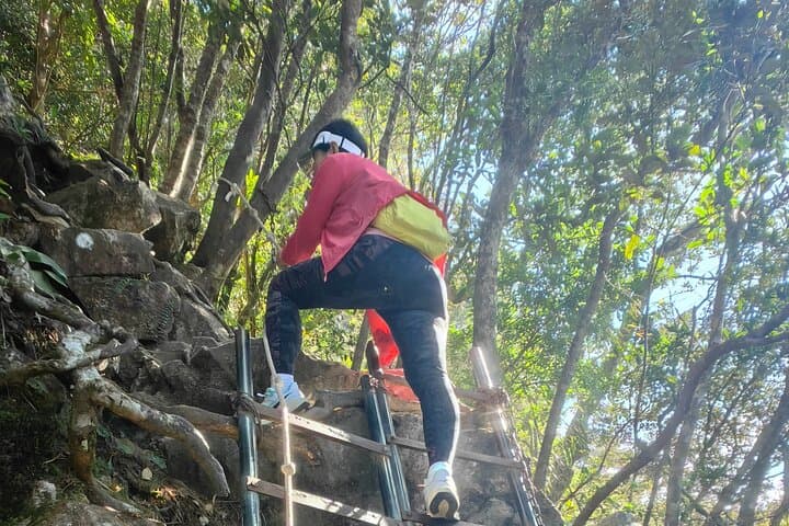 Five-Finger Mountain Challenge: Climb Wuzhishan's 1,836m Peak photo 5