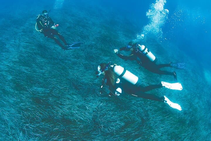 Double Dive at Baia Submerged Park — Explore Sunken Roman Villas Near Naples photo 3