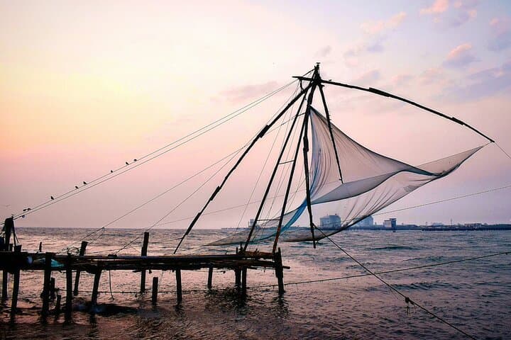 8-Day Private Kerala Tour: Backwaters, Tea Hills & Wildlife Safari photo 3