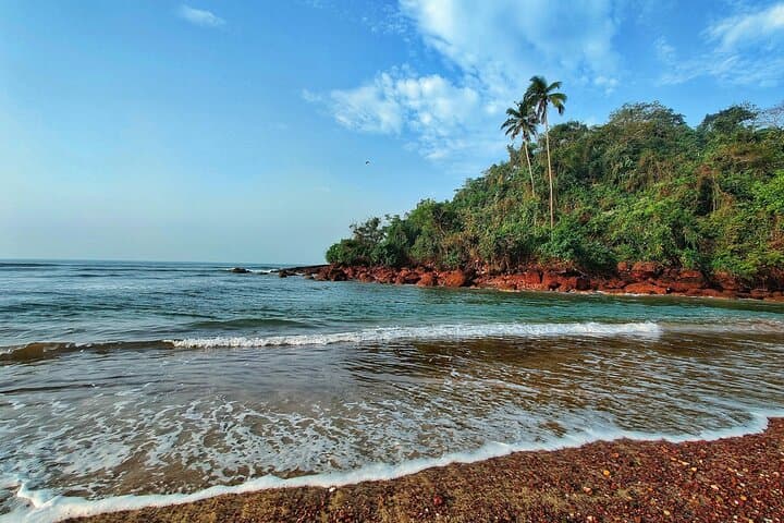 8-Day Private Kerala Tour: Backwaters, Tea Hills & Wildlife Safari photo 4