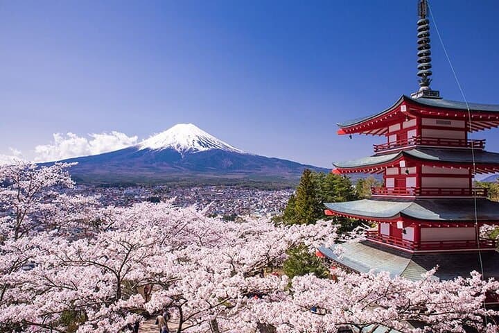 Private Day Tour to Mount Fuji & Hakone from Tokyo: Chureito Pagoda, Lake Kawaguchi & Lake Ashinoko photo 3