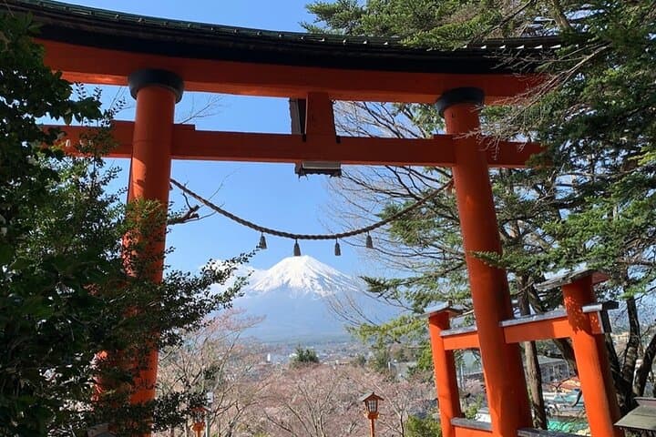 Private Day Tour to Mount Fuji & Hakone from Tokyo: Chureito Pagoda, Lake Kawaguchi & Lake Ashinoko photo 5