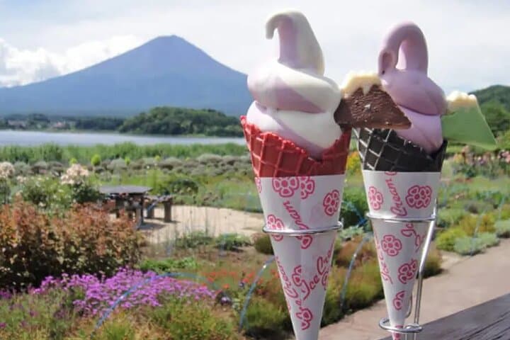 Private Day Tour to Mount Fuji & Hakone from Tokyo: Chureito Pagoda, Lake Kawaguchi & Lake Ashinoko photo 4