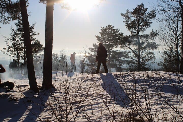 Panoramic Peaks: Oslo's Best Fjord Views Guided Hike