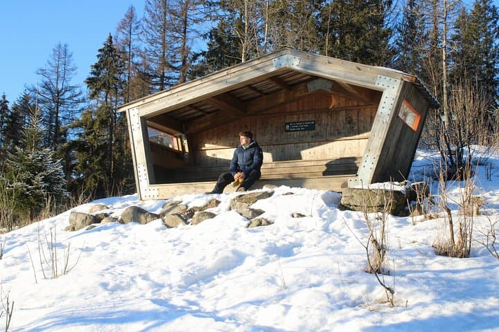 Panoramic Peaks: Oslo's Best Fjord Views Guided Hike photo 2