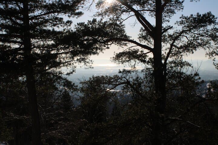 Panoramic Peaks: Oslo's Best Fjord Views Guided Hike photo 4