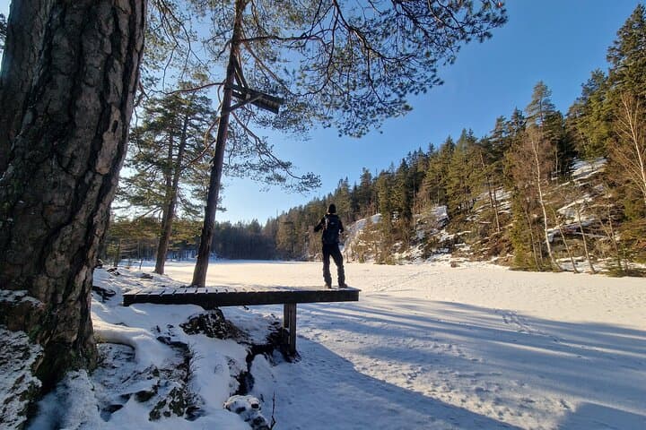 Panoramic Peaks: Oslo's Best Fjord Views Guided Hike photo 6