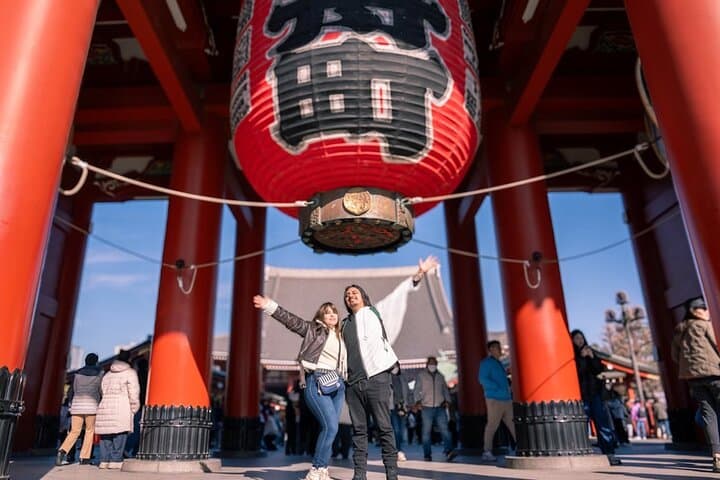 One-Day Tokyo Highlights Private Car Tour — Meiji, Tsukiji & Tokyo Tower