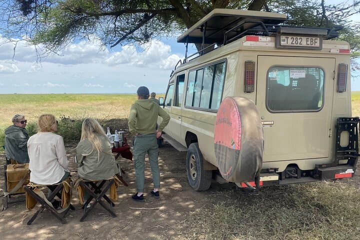Day Trip to Tarangire National Park from Arusha: Full-Day Safari with Elephants & Baobabs photo 6