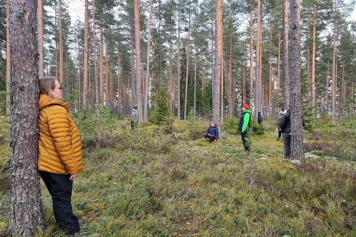 Helsinki Central Park Urban Nature Walk — Guided Mindful Forest Stroll photo 2