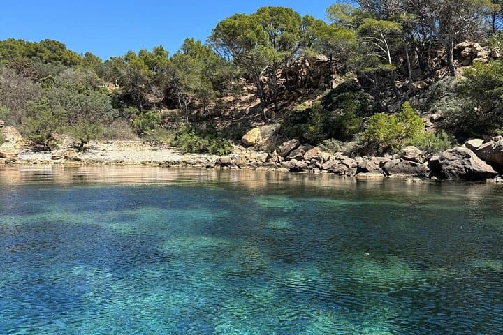 Dragonera Boat Tour from San Telmo — 2.5‑Hour Island Visit and Coastal Trails photo 3