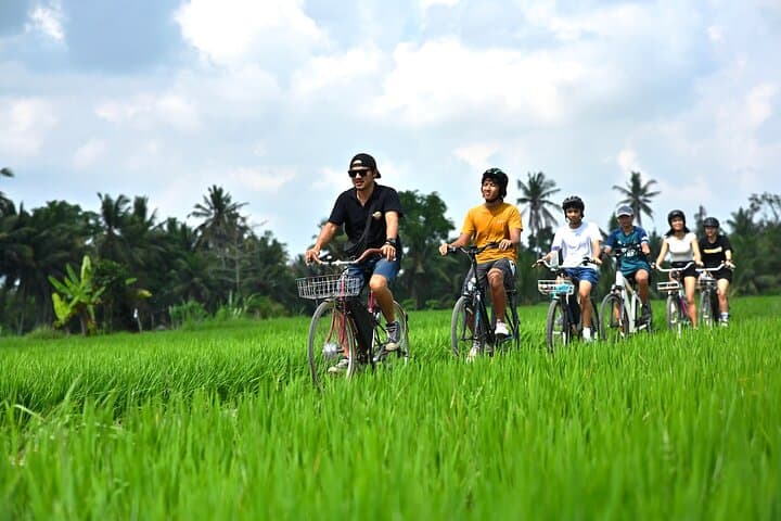 Pedal-Assist Paths: Private E‑Bike Tour Through Bali’s Rivers and Rice Fields