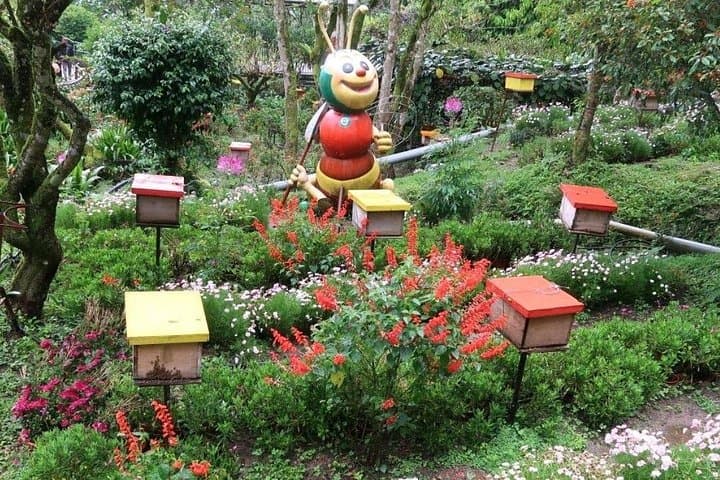Cameron Highlands Private Sightseeing Tour — Tea Plantations, Farms & Markets photo 6