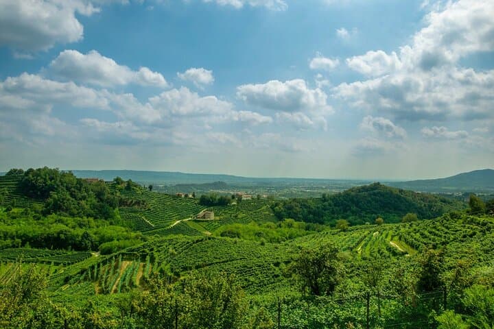 Prosecco Superiore Day Tour from Venice: Private Tastings in Valdobbiadene & Asolo photo 3