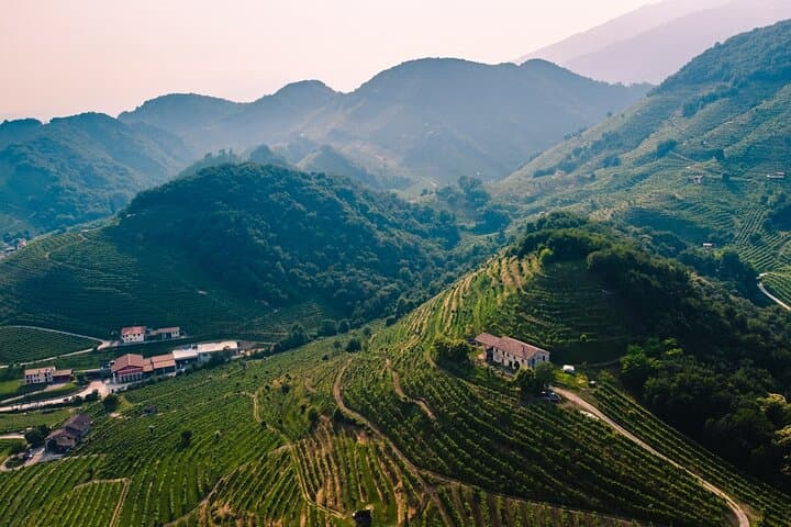 Prosecco Superiore Day Tour from Venice: Private Tastings in Valdobbiadene & Asolo