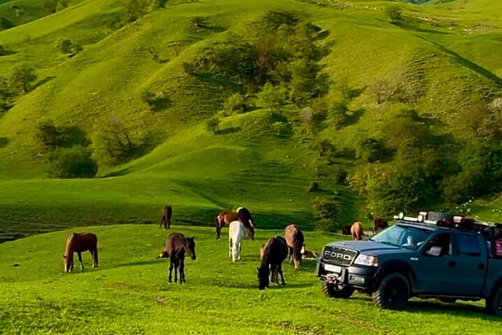Armenia Off-road Mountain Safari: Sevan, Dilijan & Haghartsin Day Tour