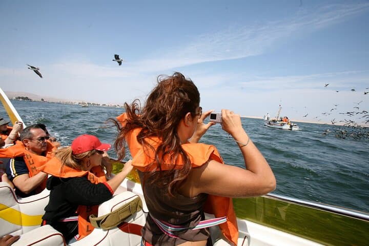 2-Day Nazca Lines & Ballestas Islands Tour from Lima