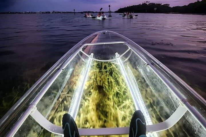 Venice Clear Kayak LED Night Tour: Glass-Bottom Paddle for Manatees & Dolphins