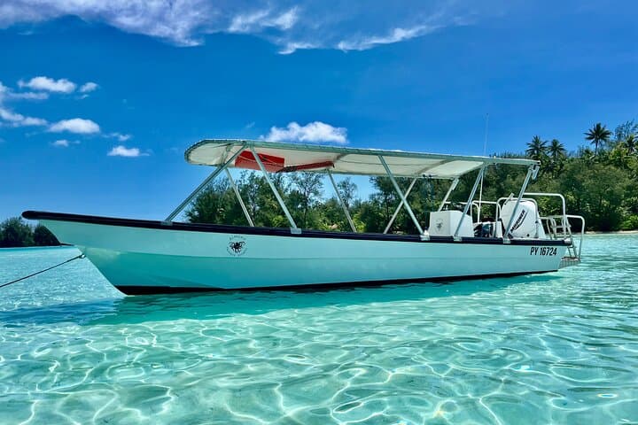 Private Whale Watching Adventure in Mo'orea — Swim with Humpback Whales photo 5