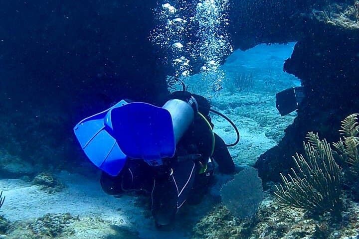 Beginner Scuba Diving in Tulum: Cenote + Caribbean Dives with Dive Machine