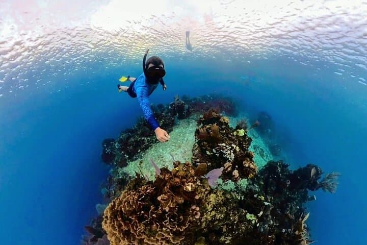 Snorkeling Roatan's Southeast Reefs: CoCo View, French Key & Brady's Cay