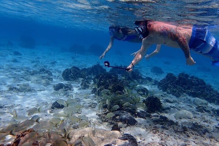 Snorkeling Roatan's Southeast Reefs: CoCo View, French Key & Brady's Cay photo 5