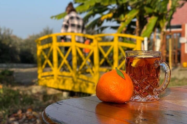 Lankaran & Astara Longevity Tour from Baku — Tea Plantations, Yanar Bulag & Markets photo 6