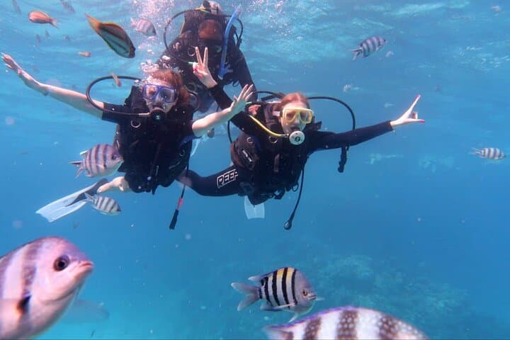 Hurghada Scuba Diving Adventure in the Red Sea — Beginner-Friendly Day Trip photo 3