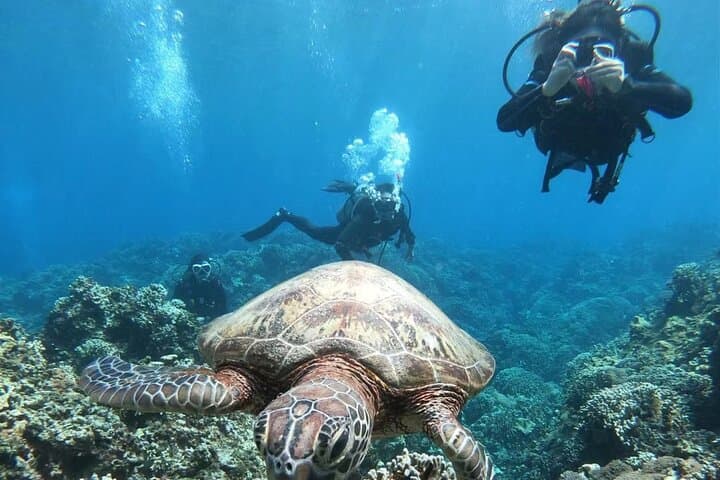 Hurghada Scuba Diving Adventure in the Red Sea — Beginner-Friendly Day Trip photo 4