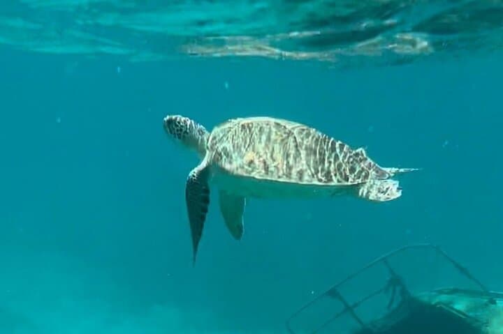 St. Thomas & Water Island Adventure: Snorkel Honeymoon Beach and Skyline Views