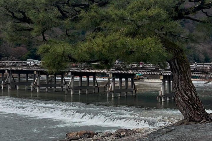 Zen Run in Arashiyama — Guided Scenic Jog Through Kyoto’s Bamboo Grove and Temples photo 4