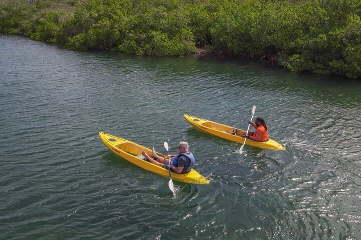 Clear Kayak & Snorkel at Mangel Halto: Paddle Over Reefs in Aruba photo 4