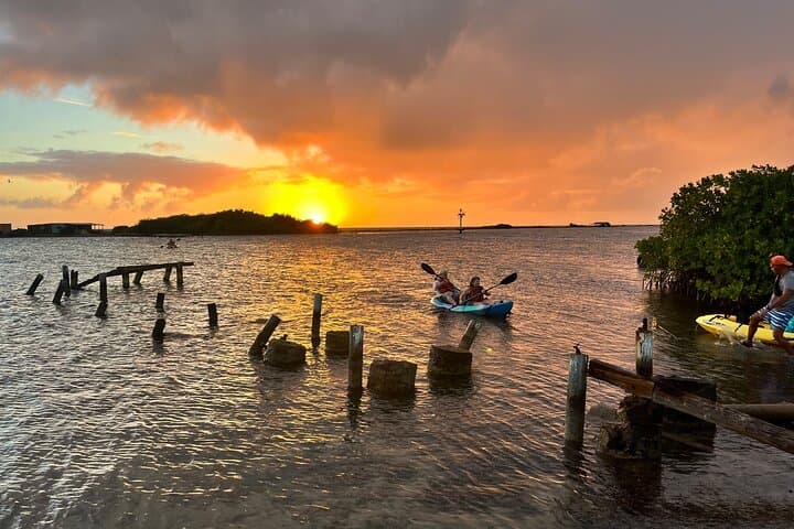 Clear Kayak & Snorkel at Mangel Halto: Paddle Over Reefs in Aruba photo 2