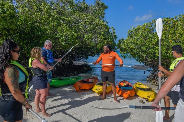 Clear Kayak & Snorkel at Mangel Halto: Paddle Over Reefs in Aruba photo 5